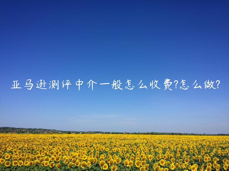 亞馬遜測(cè)評(píng)中介一般怎么收費(fèi)?怎么做?